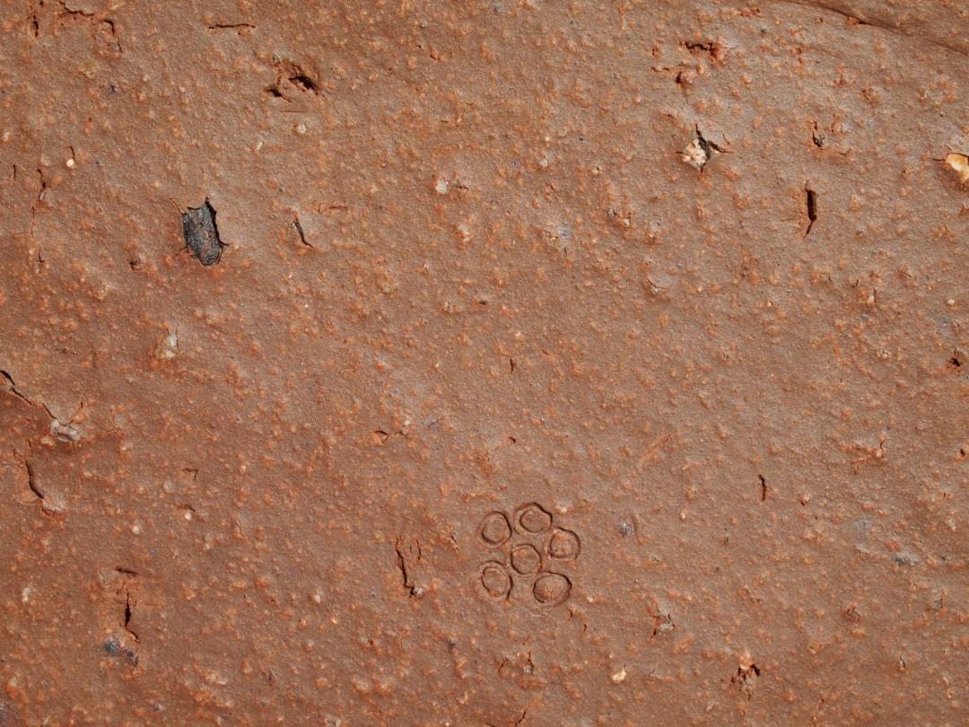 希少作☆森陶岳☆備前【寒風】角皿5枚組☆共